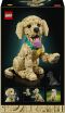 LEGO® Icons Golden Retriever Puppy (11384) (8)
