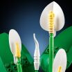 LEGO Botanical Peace Lily (11504) (2)