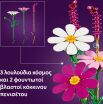 LEGO® Botanicals Cosmos Flowers (11514) (3)