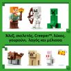 LEGO® Minecraft First Night Adventure (21593) (5)