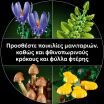 LEGO® Botanicals Woodland Mushrooms (11505) (5)