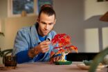 LEGO Botanical Japanese Red Maple Bonsai Tree (10348) (7)