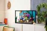 LEGO Icons Tropical Aquarium (10366) (11)