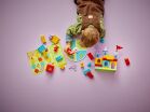 LEGO Duplo Hopsy's Castle Game (10450) (6)