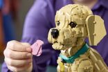 LEGO Icons Golden Retriever Puppy (11384) (7)