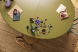 LEGO® Botanicals Dark Flower Arrangement (11513) (3)