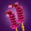 LEGO® Botanicals Cosmos Flowers (11514) (3)