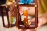 LEGO Ideas Mineral Collection (21362) (6)