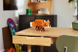 LEGO Minecraft The Fox (21588) (10)