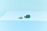 LEGO Creator 3in1 Turtle With A Water Lily Flower (31377) (10)