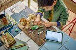 LEGO® Creator 3in1 Wild Animals: Majestic Lion (31386) (5)