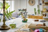 LEGO® Creator 3in1 Wild Animals: Family Of Koalas (31388) (14)