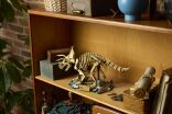 LEGO® Jurassic World Dinosaur Fossils: Triceratops (77985) (12)
