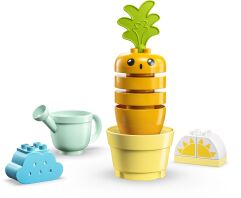 LEGO Duplo Growing Carrot (10981)