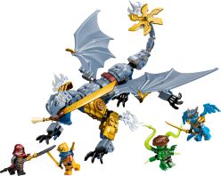 LEGO Ninjago Ninja Dragon Riyu's Battle (71855)