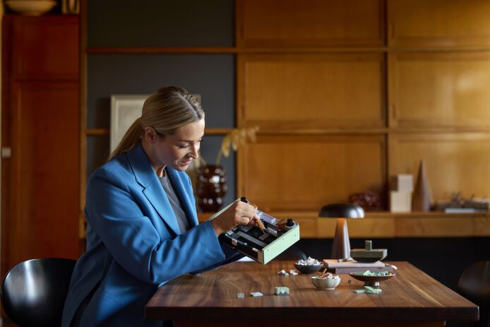 LEGO Icons Retro Radio (10334) (6)