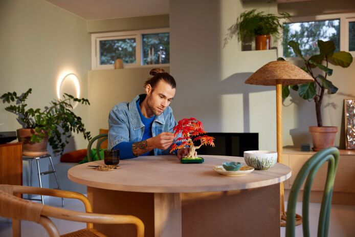 LEGO Botanical Japanese Red Maple Bonsai Tree (10348) (6)