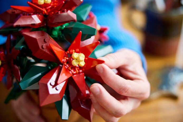 LEGO Icons Botanical Poinsettia (10370) (6)