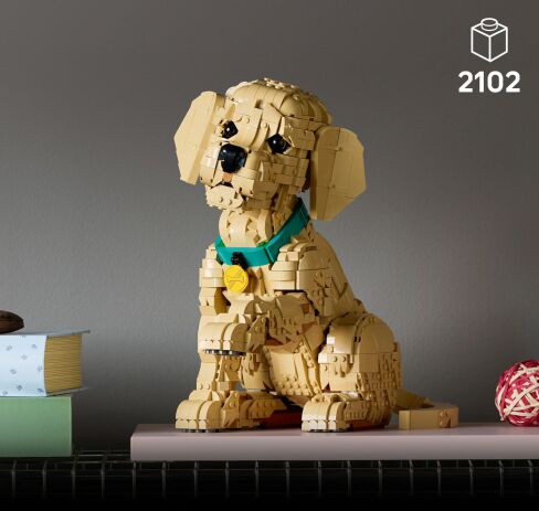 LEGO® Icons Golden Retriever Puppy (11384) (2)