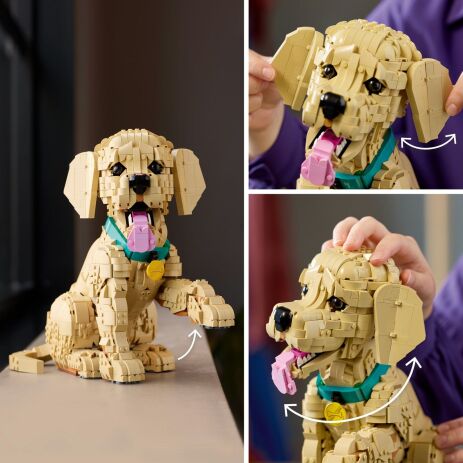 LEGO® Icons Golden Retriever Puppy (11384) (4)