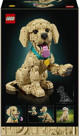 LEGO® Icons Golden Retriever Puppy (11384) (8)