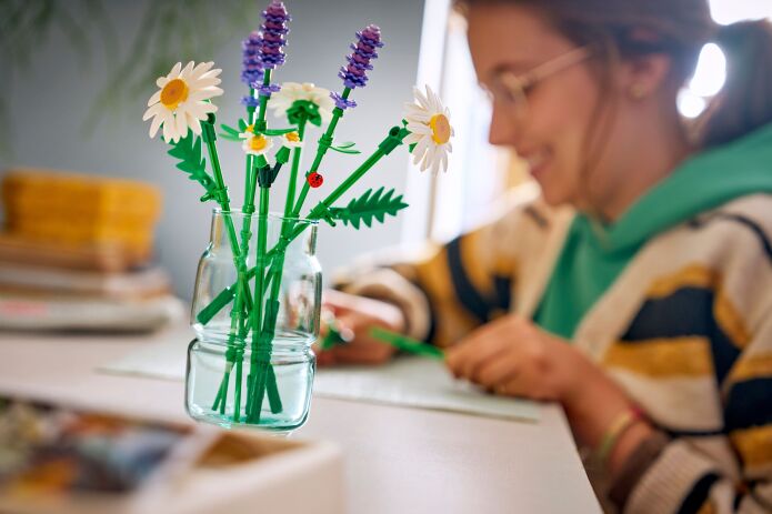 LEGO Botanical Daisies (11508) (7)