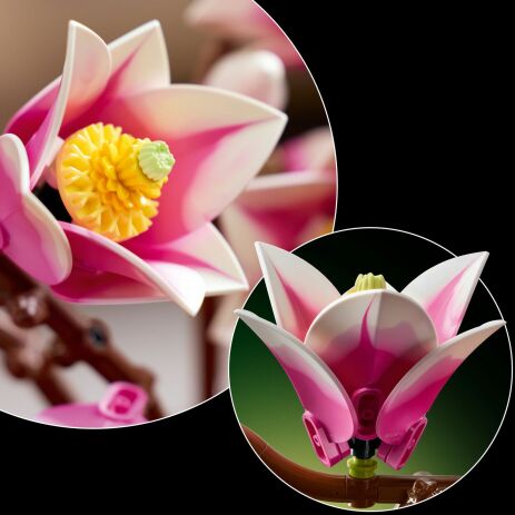 LEGO® Botanicals Magnolia Branches (11510) (4)