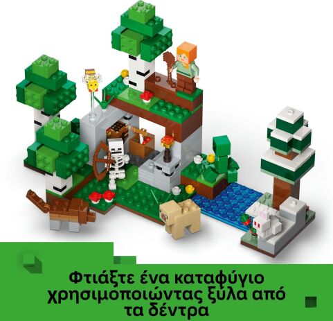 LEGO® Minecraft First Night Adventure (21593) (3)