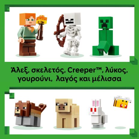 LEGO® Minecraft First Night Adventure (21593) (5)
