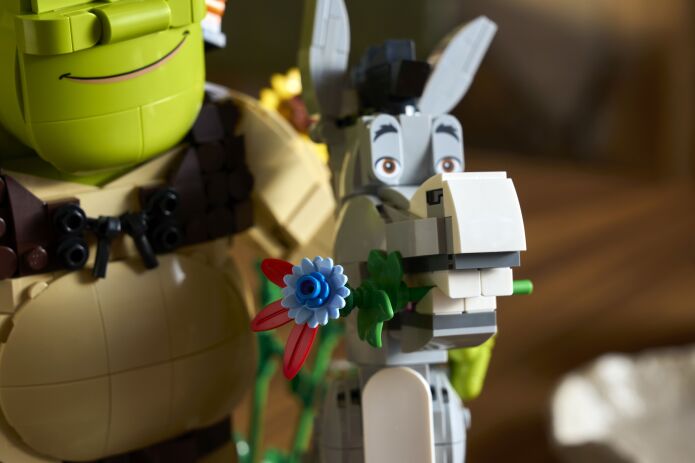 LEGO® Shrek, Donkey & Puss In Boots (72423) (7)
