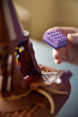 LEGO Harry Potter Talking Sorting Hat (76429) (6)