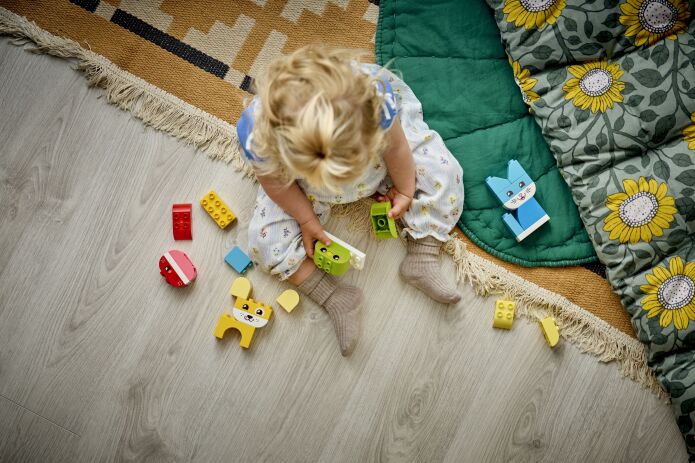 LEGO Duplo 3in1 Creative Cute Pets (10477) (4)