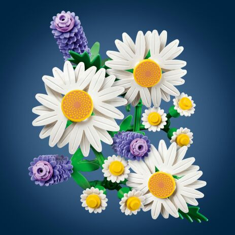 LEGO® Botanicals Daisies (11508) (3)