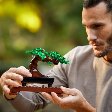LEGO Icons Botanical Bonsai Tree (10281) (2)