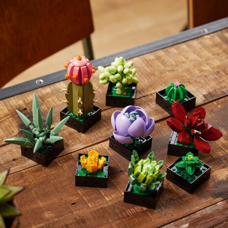 LEGO Icons Botanical Succulents (10309) (2)