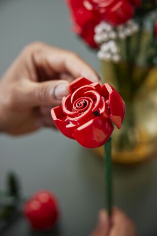 LEGO Icons Botanical Bouquet Of Roses (10328) (3)