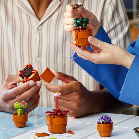 LEGO Icons Botanical Tiny Plants (10329) (3)