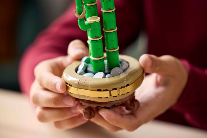 LEGO Botanical Lucky Bamboo (10344) (4)