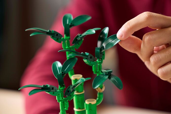 LEGO Botanical Lucky Bamboo (10344) (5)