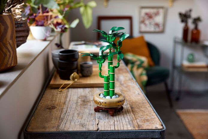LEGO Botanical Lucky Bamboo (10344) (8)