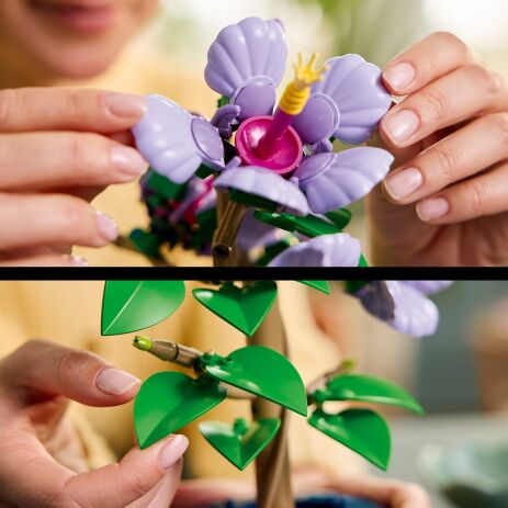 LEGO Botanical Hibiscus (10372) (2)