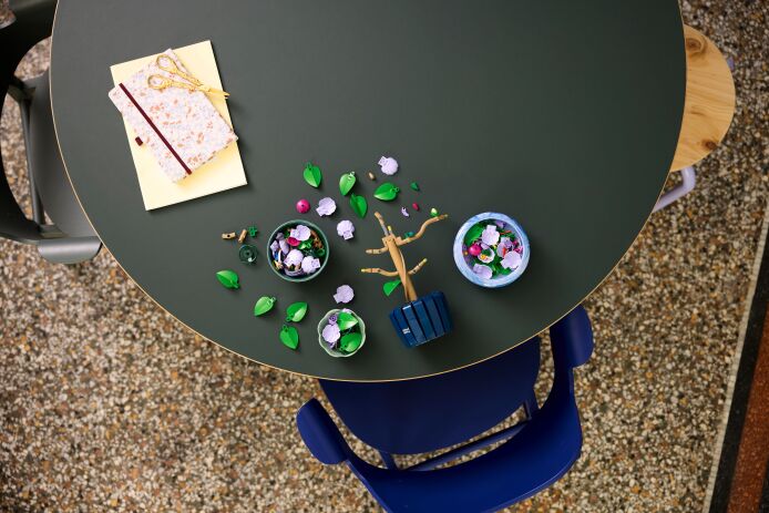 LEGO Botanical Hibiscus (10372) (3)