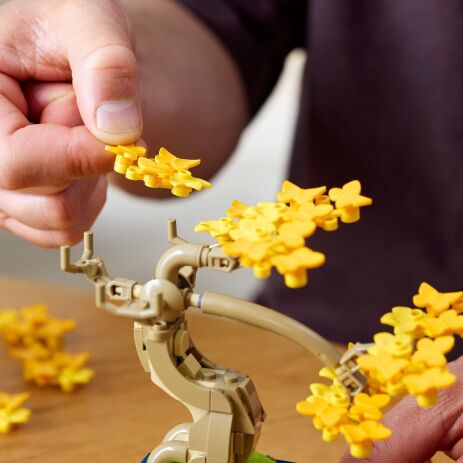 LEGO Botanical Mini Bonsai Trees (10373) (5)