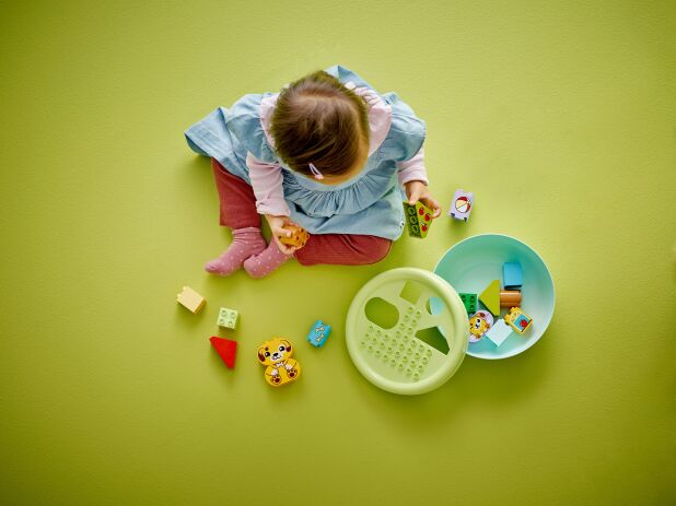 LEGO Duplo Shape Sorter: Puppy House (10441) (4)