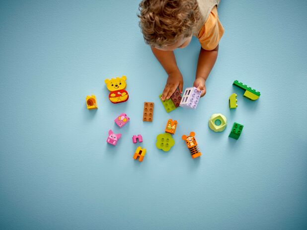 LEGO Duplo Disney Winnie The Pooh's Birthday Party (10457) (5)