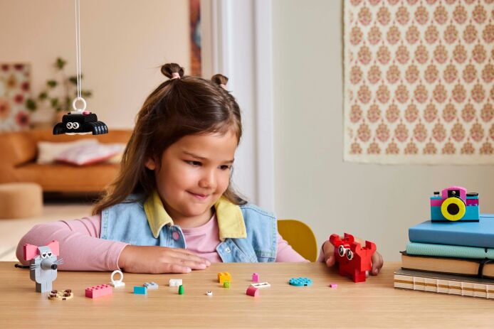 LEGO Classic Creative Happy Box (11042) (5)