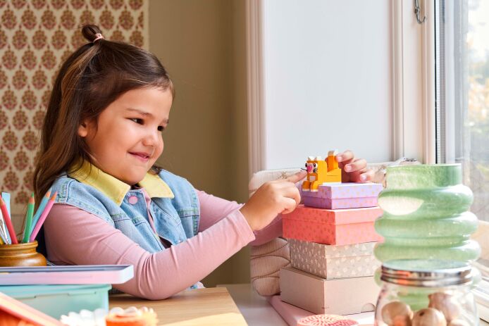 LEGO Classic Creative Happy Box (11042) (6)