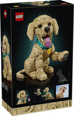 LEGO Icons Golden Retriever Puppy (11384) (16)
