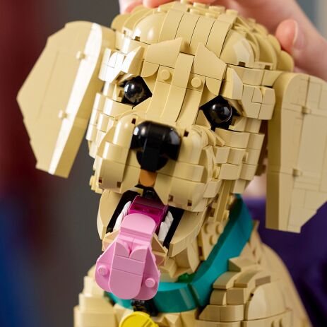 LEGO Icons Golden Retriever Puppy (11384) (3)