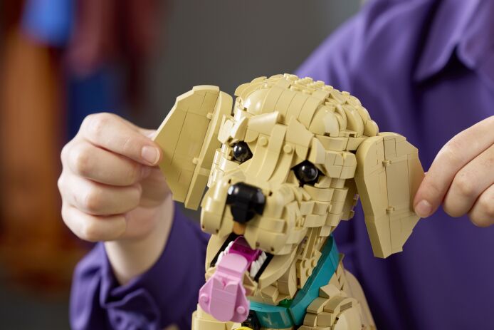 LEGO Icons Golden Retriever Puppy (11384) (8)